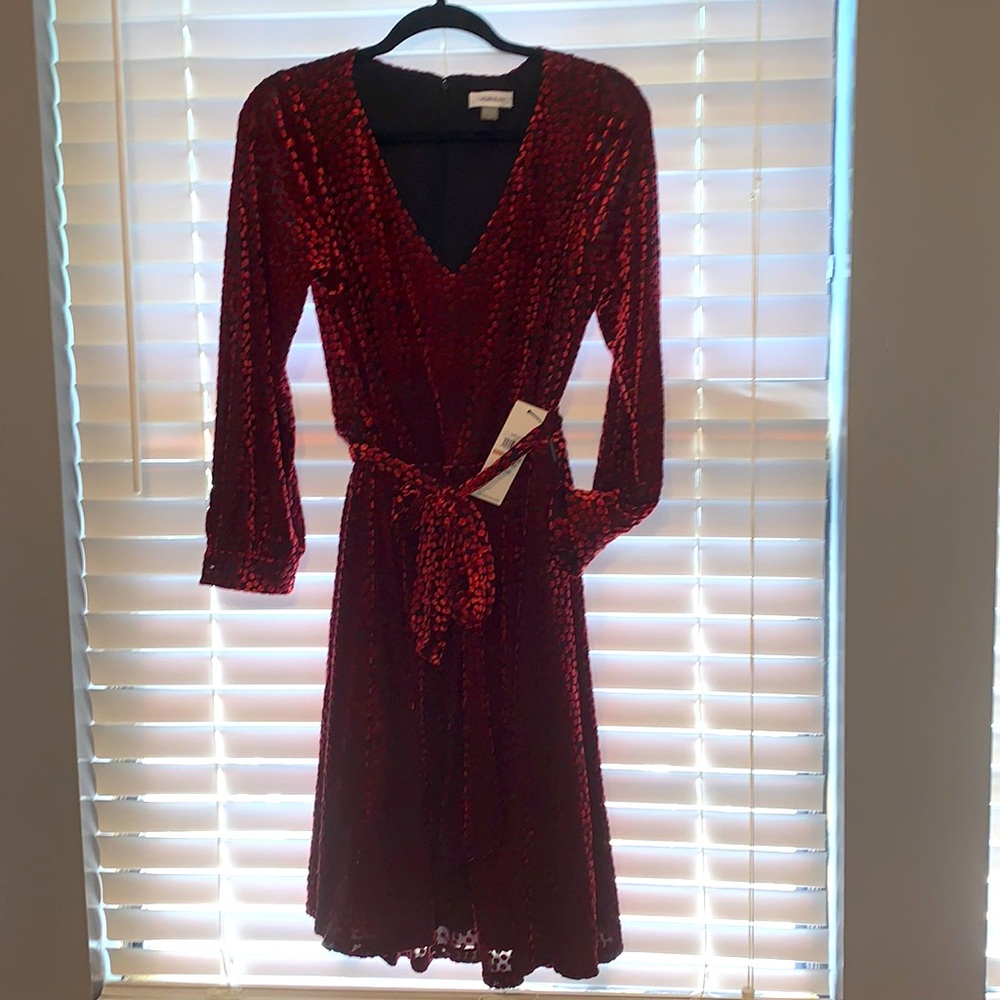 Calvin Klein Long sleeved party dress